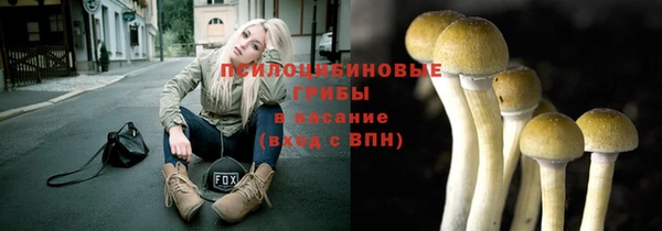 2c-b Алзамай