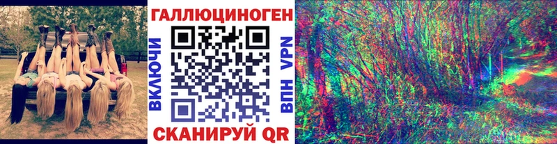 Псилоцибиновые грибы Psilocybe  Белгород 