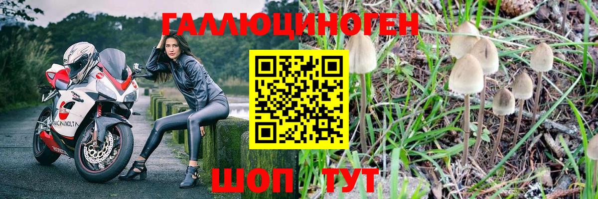 Галлюциногенные грибы ЛСД Белгород