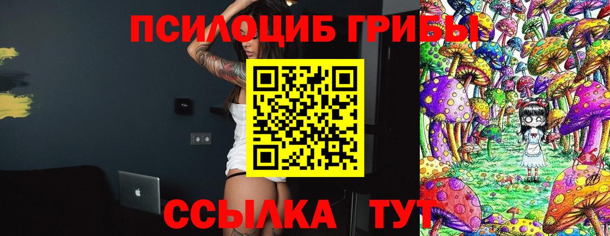 Галлюциногенные грибы Magic Shrooms  Галлюциногенные грибы мицелий  Белгород  купить закладку  Вход с VPN 